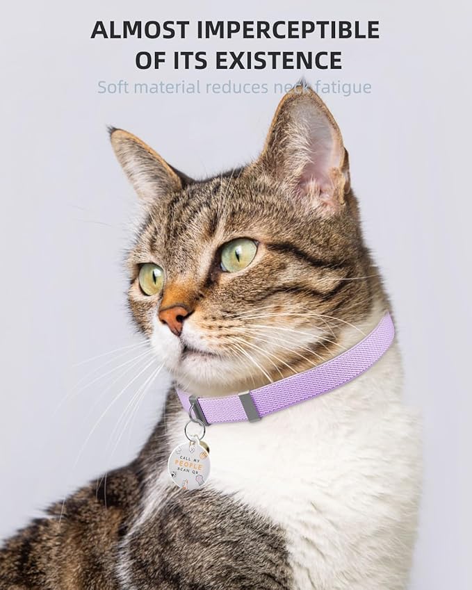 Cat Collar with Bell, Stretch Elastic Quick Release, Non Breakaway Lightweight Kitten Collar for Girl Boy Cats, Pet Supplies,Gifts,Accessories, Purple