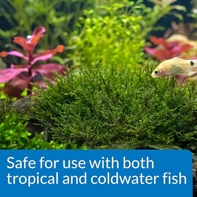 API Root TABS Freshwater Aquarium Plant Fertilizer 0.4-Ounce 10-Count Box (Pack of 2)