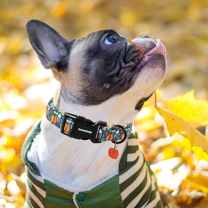 DOGWONG Fall Pumpkin Dog Collar, Fall Maple Leaf Dog Collars Adjustable Halloween Pumpkin Dog Collars for Small Medium Large Dogs L