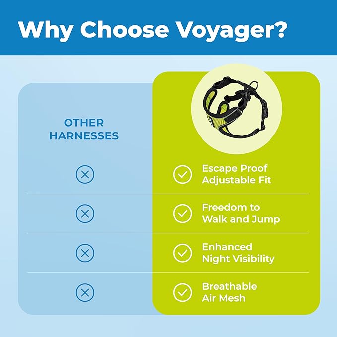 Voyager Escape-Proof Step-in Lock Cat Harness & 5ft Neoprene-Handle Leash Set All-Weather Mesh with Reflective Stitching for Small to Large Cats by Best Pet Supplies, Black Trim-Lime (327), XXS