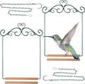 2 Pcs Hummingbird Swings and Perches Metal Frame Bird Swing with 2 Replacement Wooden Dowel and 2 Hanging Chain for Outdoor Bird Feeders, Planters, Lanterns Ornaments(Dark Green)
