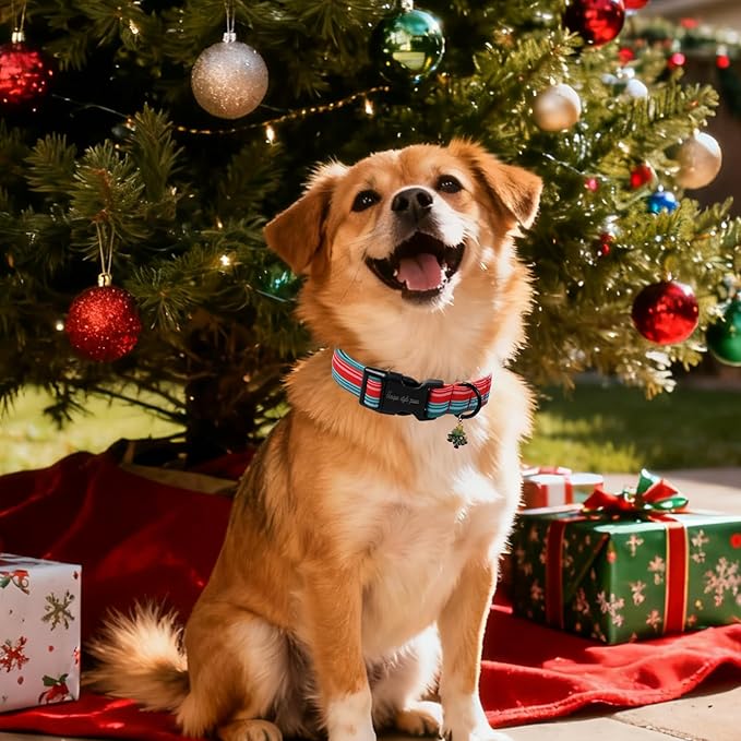 Christmas Dog Collar, Unique Style Paws Red Green Strips Dog Collar for Christmas Comfortable Red Pet Collar with Lightweight Plastic Buckle for Holiday, Fancy Dog Gift