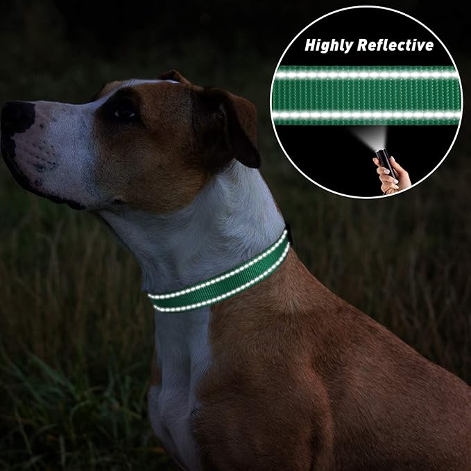 TagME Reflective Nylon Dog Collars, Adjustable Classic Pet Collar with Quick Release Buckle for Small Dogs, Turquoise, 3/4" Width