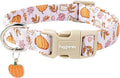 Faygarsle Fall Pumpkin and Leaves Pattern Dog Collar with Charm, Adjustable Pet Neckwear, Pink and Orange for Small Medium Large Dogs L