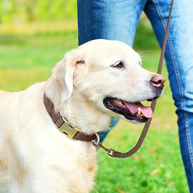 Genuine Leather Dog Collar - Adjustable Pet Collar with Quick Release Metal Buckle, Soft Skin Friendly Real Leather Collar for Small, Medium, Large Dogs (Dark Brown, S：Fit 8-16" Neck)
