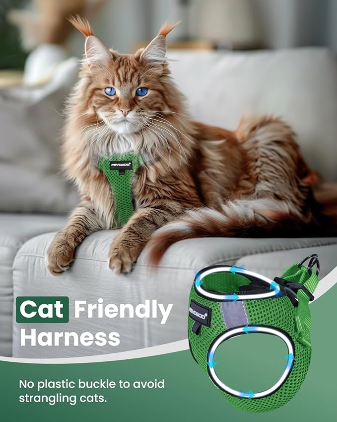 FAYOGOO Cat Harness, Cat Leash and Harness Set for Walking Escape Proof, Harness for Small Cats/Small Dogs, Large Kitten/Puppy Harness and Leash, Harness for Cats S-XXL(Neon Green, XX-Large)