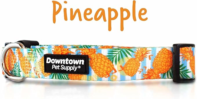 Downtown Pet Supply - Best & Fancy Dog Collar - Lightweight Adjustable with Quick Buckle & D-Ring - Hand Wash Safe - Pineapple - M - Medium