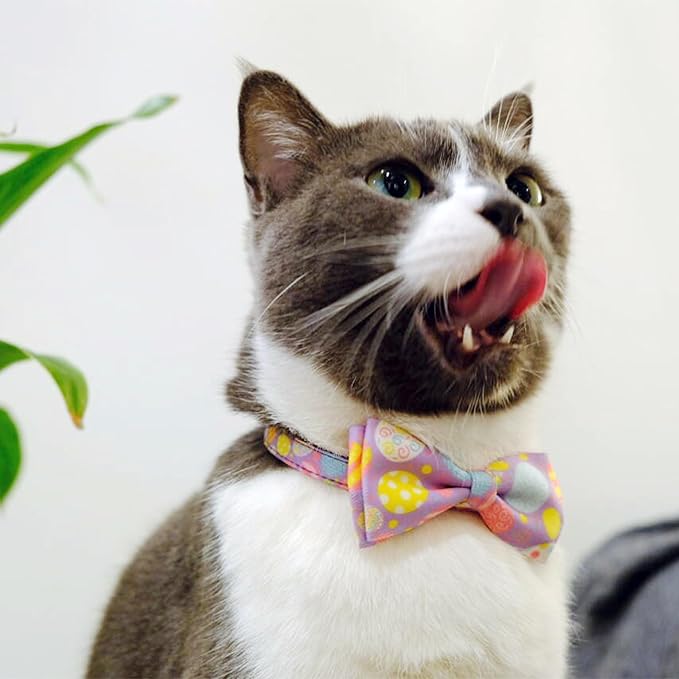 2 Pack Easter Day Cat Collar with Bow Tie, Holiday Spring Easter Eggs Collar for Boys and Girls Male Female Kitty Kittens