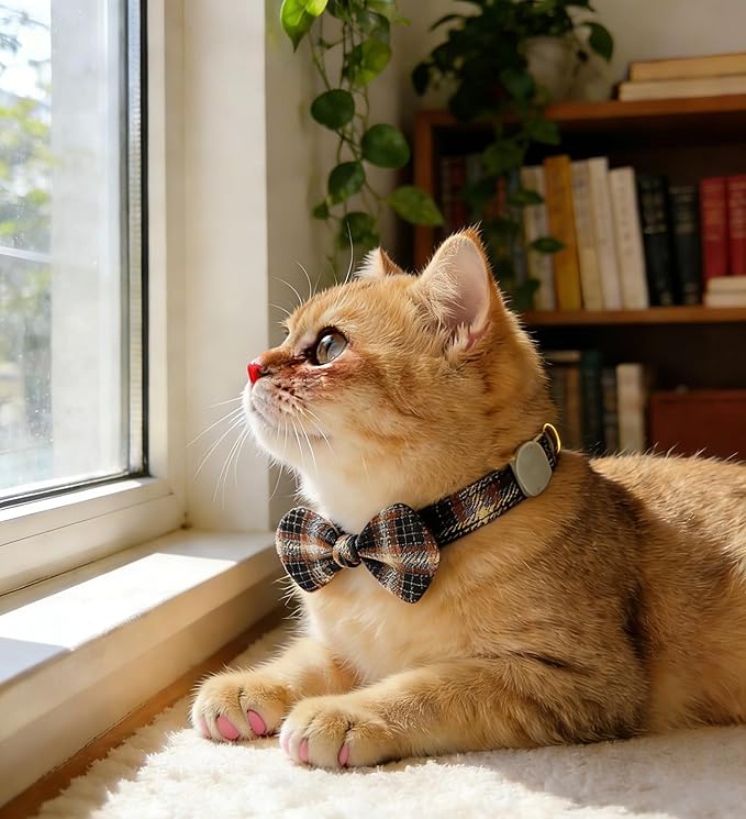 Cotton Bowtie Cat Collar with Bell 2 Pack Plaid Breakaway Kitten Collars with Removeable Bunny Ear Bow(Mocca Tweed+Ocean Blue)