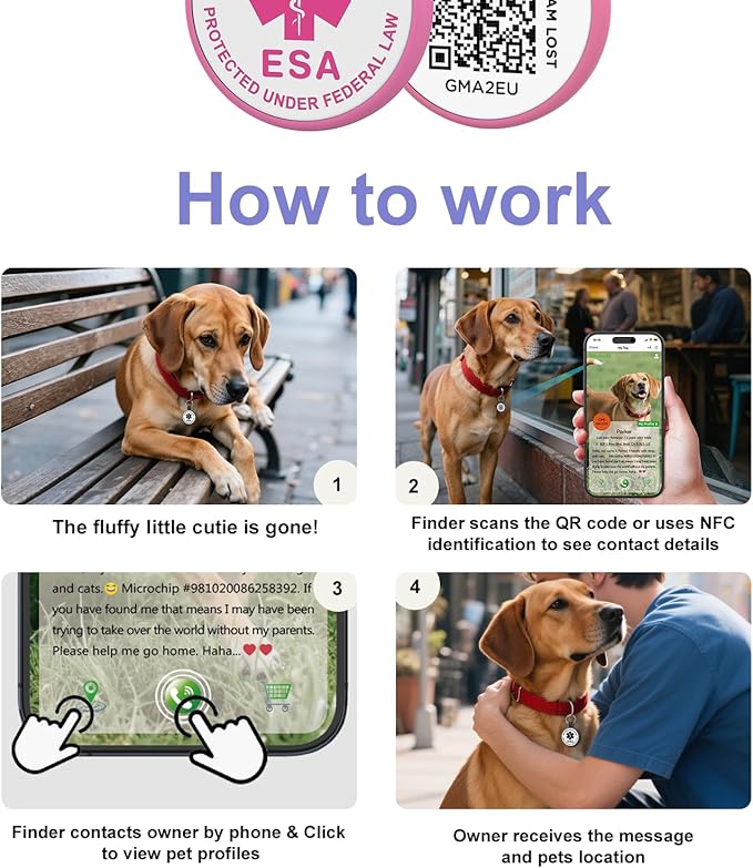 QR Code Dog Tag, QR Code Pet ID Tag, Dog ID Tag, Small Cat for Kitten and Puppy, Modifiable Free Online Profile, Scan QR Code Send Instant Location Alert Email (Rose, Regular)