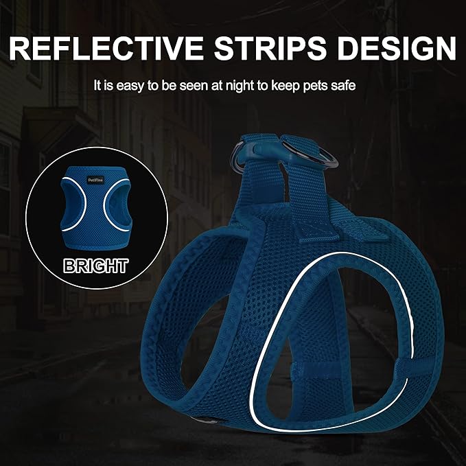 PetiFine Extra Small Step in Dog Harness and Leash Set, Cat Harness and Leash Escape Proof, All Weather Mesh Reflective, Step-in Velcro Air Vest Harnesses for Puppy(XXXS, Blue)