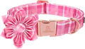 Lionheart Glory Dog Collar, Pink Dog Collar with Flower, Cute Floral Pattern Pet Collar Adjustable Pet Collar for X-Small Dogs