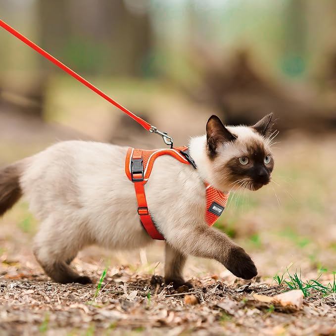 Cat Harness and Leash for Walking Escape Proof Soft Adjustable Cat Leash Breathable Comfortable Vest Easy to Wear Kitten Harness for Outdoor Travel, Orange, XS