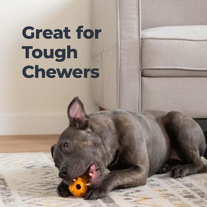 Oxyfresh Dog Dental Chew Toy - Best Dog Teeth Cleaning Toy – A Simple Bite and Brush Toy That Helps Remove Plaque, Cleans Teeth & Freshens Breath Without Brushing - Small