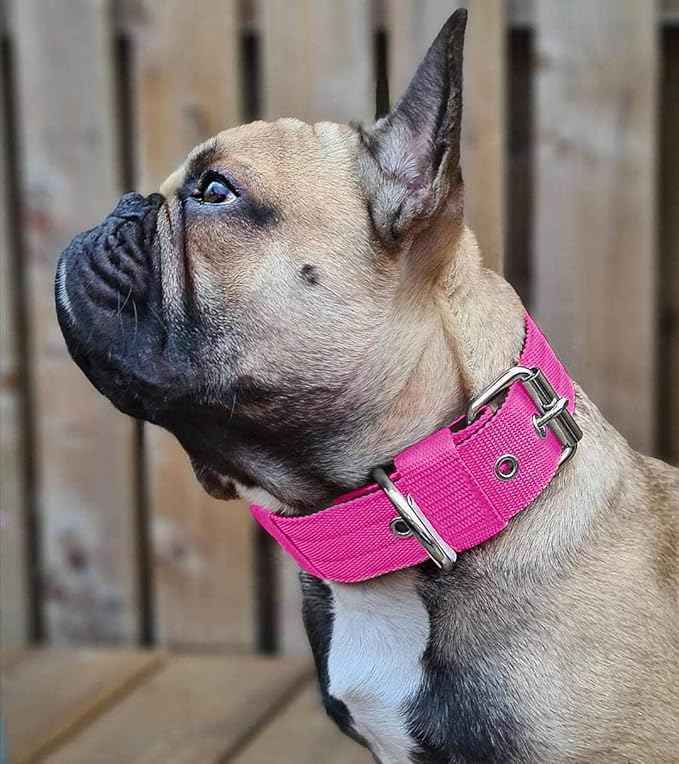 Heavy Duty Tactical Dog Collar - 1.5" Width Military Durable Thick Nylon with Adjustable Metal D Ring & Buckle Working Training K9 Collar for Medium Large Dogs (M(17"-20"), Hot Pink)