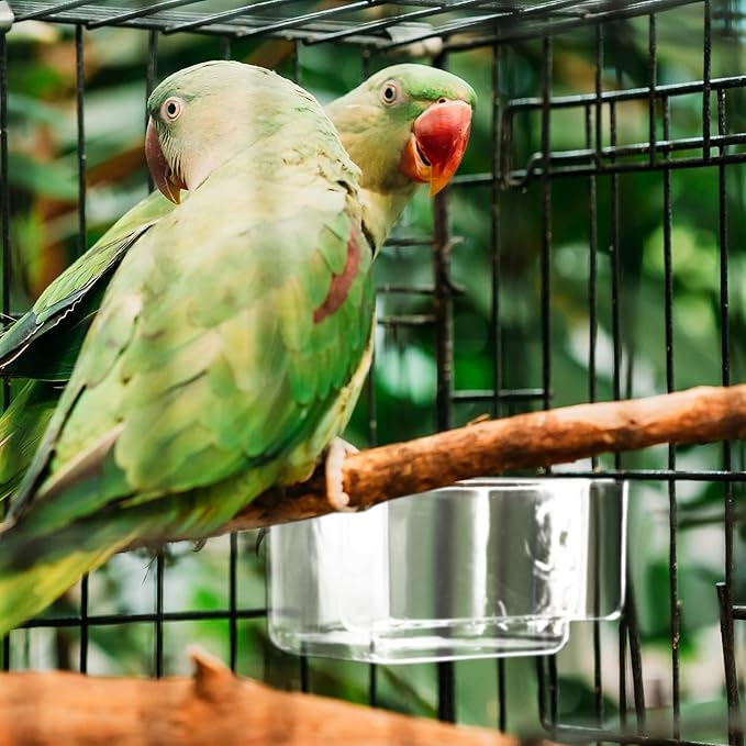 LemonRoad 4 Pcs Bird Cage Feeder Food Water Feeder for Cage Feeding Drinking Bowl Seed Container Dishes Birdcage Tray Replacement Clear Thick Food Trough Box Accessories for Bird Parrot Pigeon Chicken