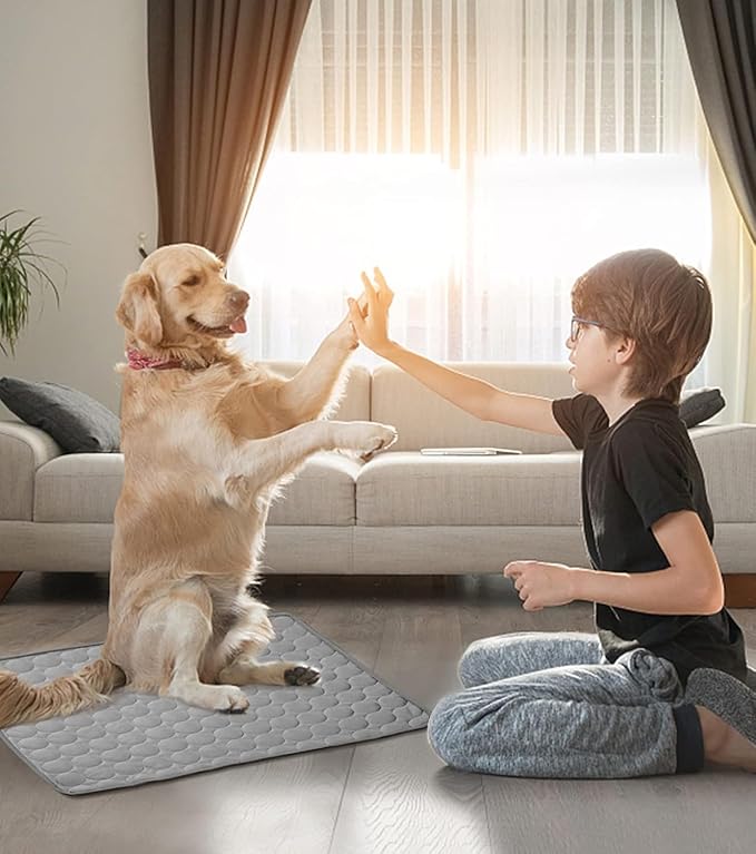 Cooling Mat for Dog Puppy Cat Washable Cooling Pad, Reusable Ice Silk Dog Self Cooling Mat, Sleeping Pad Blanket for Beds Kennels Couches Sofa Floors Car Seats, Large, Grey