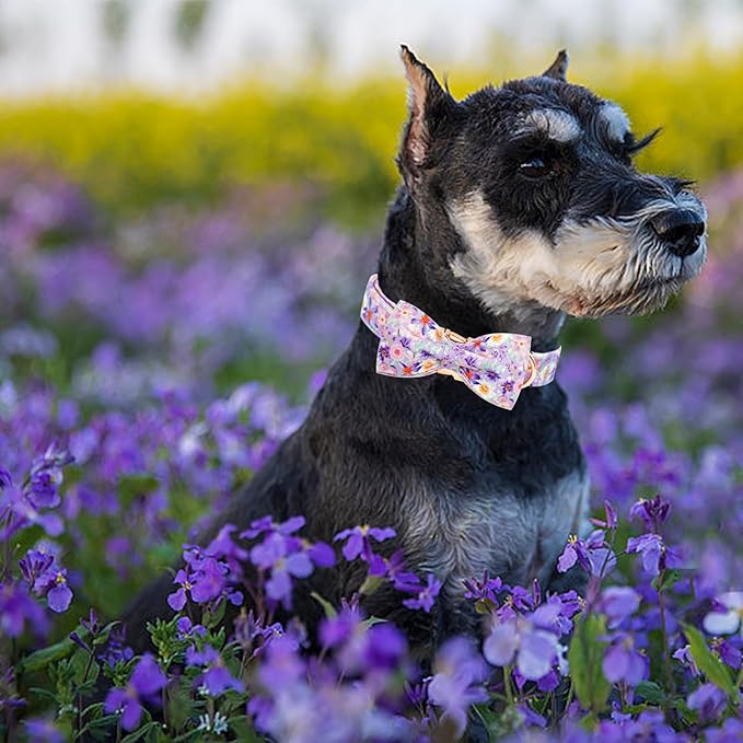 Elegant little tail Dog Collar, Rose Print Pet Collar Summer Dog Collar Durable Metal Buckle Dog Collars Cotton Pet Adjustable Dog Collars for Small Dogs
