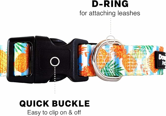 Downtown Pet Supply - Best & Fancy Dog Collar - Lightweight Adjustable with Quick Buckle & D-Ring - Hand Wash Safe - Pineapple - Large