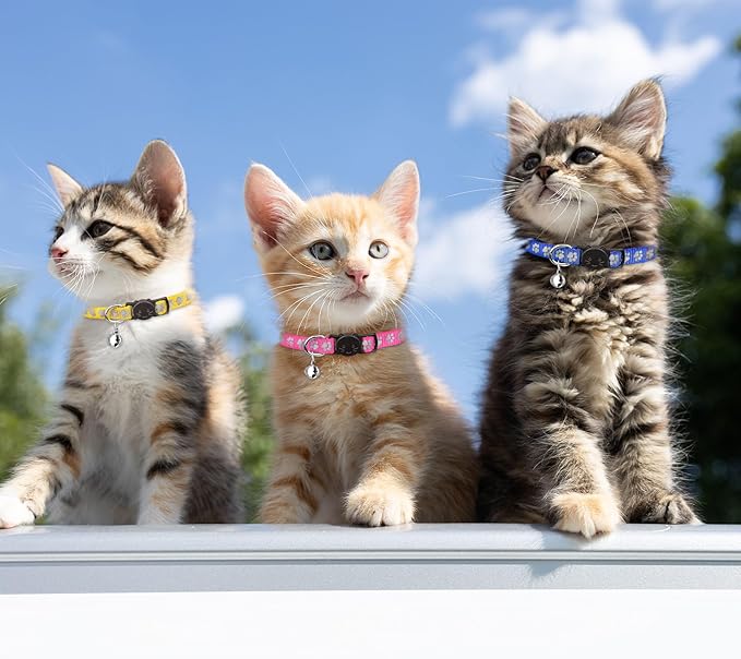 16 PCS Breakaway Cat Collars with Bells Reflective Cat Collar Safety Nylon Kitten Collars Cat Collars for Girl Boy Cats(7.5"-12.6")
