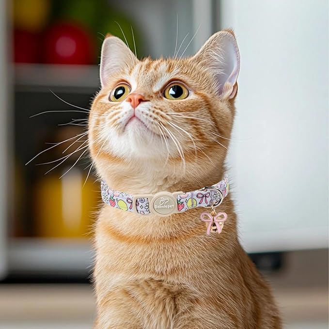 2 Pack Sweet Girly Cat Collars - Elegent Bow Breakaway Cat Collar with Bell & Matching Pendant, Adjustable Spring Summer Pink Purple Kitten Collars for Girl Cats