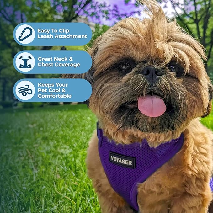 Voyager Step-in Pet Harness - All Weather Mesh, Adjustable Step in Harness for Cats and Dogs by Best Pet Supplies - Purple, XS
