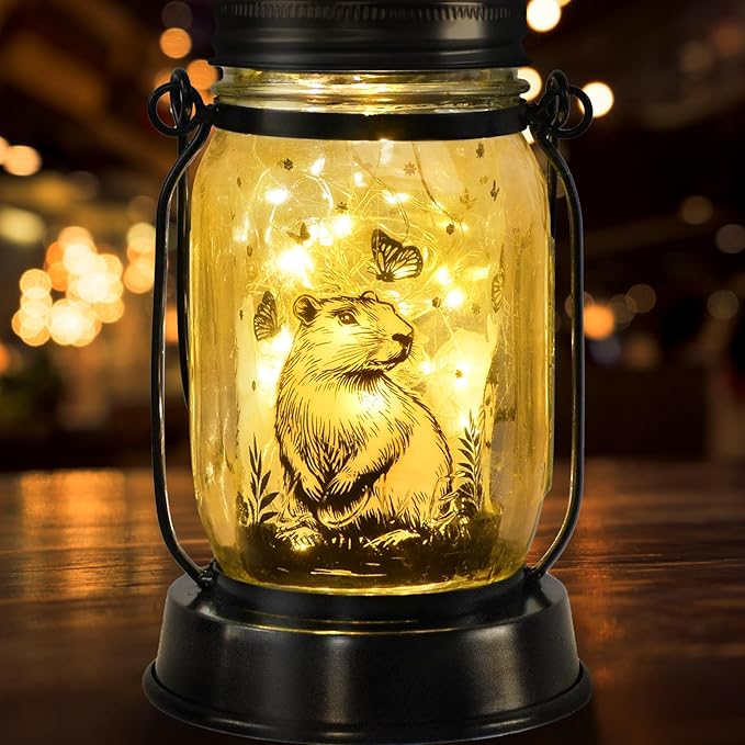 kyoryuger Capybara Gifts for Women/Men Capybara Solar Lanterns Mom Grandma Birthday Present Lantern Memorial Lights Solar Garden Decoration Outside for Yard, Patio,Backyard,Porch Torches