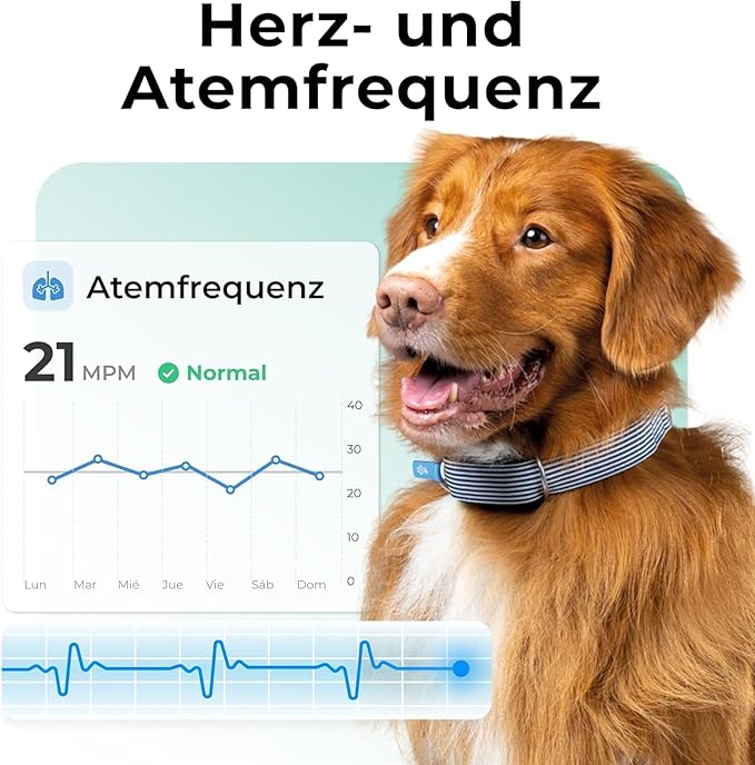 Invoxia Minitailz - Health & GPS Tracker for Dogs #1 - Cardiac and Respiratory Scan - Real-time Location - Activity and Well-Being Analysis - Compact, Lightweight, and Easy to Install