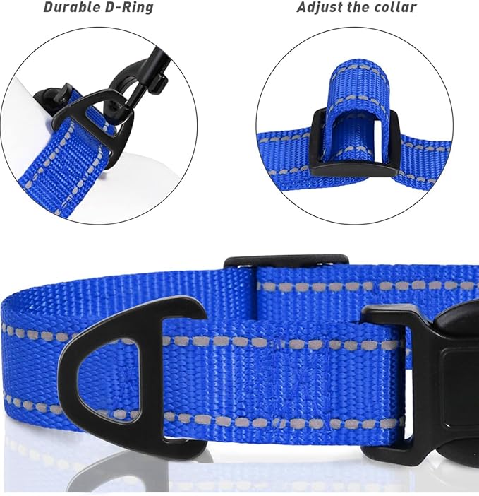 TagME Reflective Nylon Dog Collars, Adjustable Classic Pet Collar with Quick Release Buckle for Small Dogs, Royal Blue, 3/4" Width