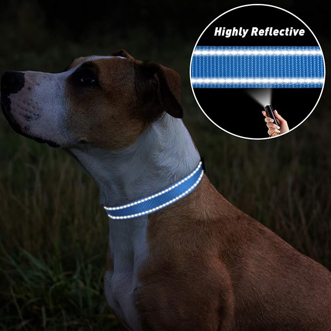 TagME Dog Collars, Adjustable Reflective Nylon Pet Collar with Quick Release Buckle for Medium Dogs, Sky Blue, 1.0" Width
