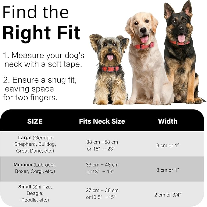 4.2FT Dog Collar and Leash Set, PVC Waterproof Adjustable Odor Proof Pet Collars Leashes, Easy to Clean, Surface 3D Cube Effect, Dog Leash for Small Dogs, Orange