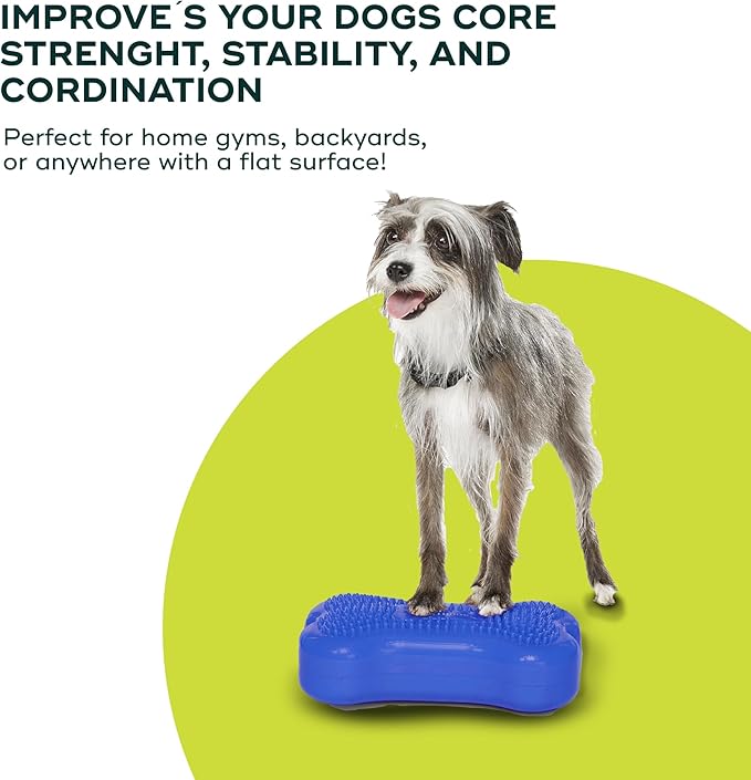 FitPAWS® K9FITbone® - Mini, Blue (Set of 2) | Dog Balance Training Platform & Exercise Equipment | Workout Tool for Strength, Core & Stability