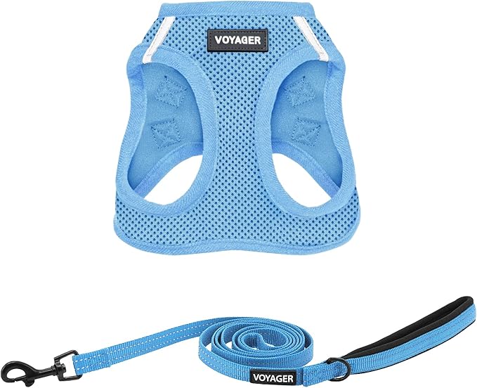 Best Pet Supplies Voyager Step-in Air All Weather Mesh Harness and Reflective Dog 5 ft Leash Combo with Neoprene Handle, for Small, Medium and Large Breed Puppies - Set (Baby Blue), XL