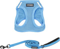 Best Pet Supplies Voyager Step-in Air All Weather Mesh Harness and Reflective Dog 5 ft Leash Combo with Neoprene Handle, for Small, Medium and Large Breed Puppies - Set (Baby Blue), XL