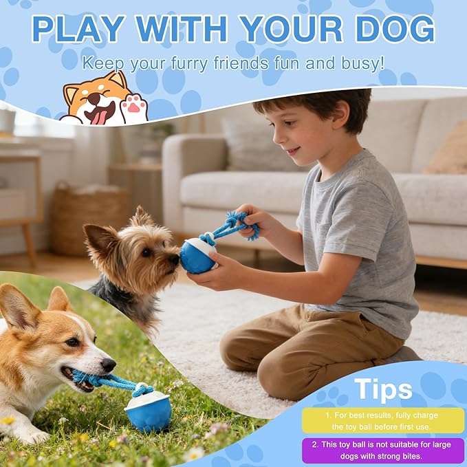Interactive Dog Ball Toy (3.35x2.76in), 2026 Upgraded Automatic Rolling Ball with 3 Modes, USB Rechargeable, Smart Motion Pet Ball, for Small Medium Large Dogs Indoor Outdoor Play (Orange)