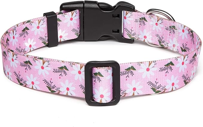 Mercano Adjustable Dog Collar - Special Design Patterns, Soft Nylon Comfortable Durable Pet Collar for Small Medium Large Dogs (XS, Pink White Flower)