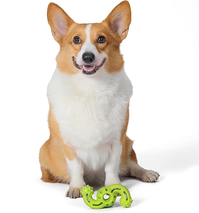 Arm & Hammer for Pets Nubbies Dog Dental Toys TPR Wave Toy, Mint Flavored, Chew Toy for Dogs, Best Dog Chew Toy for Gentle Chewers, Reduces Plaque & Tartar Buildup Without Brushing