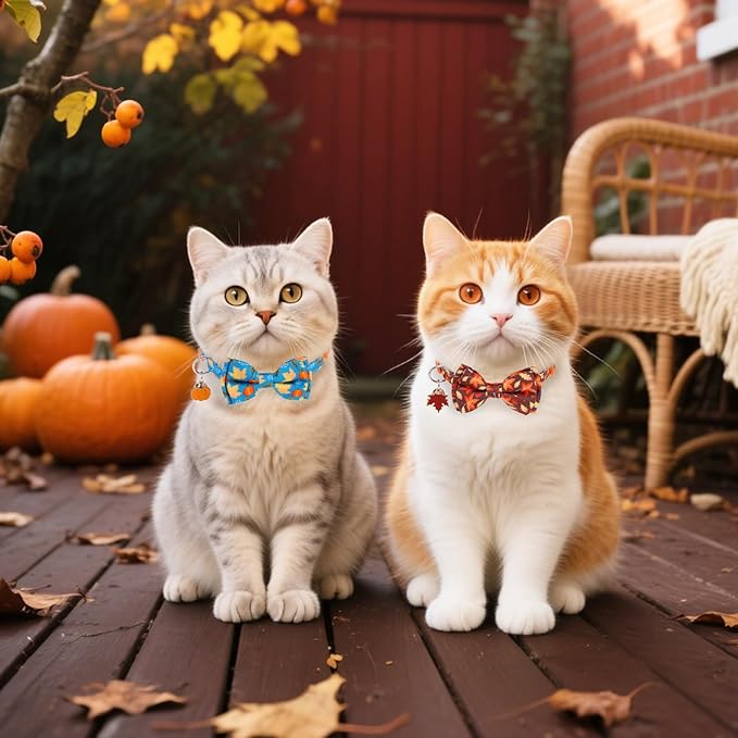Breakaway Cat Collar Thanksgiving 2 Pack - Fall Pumpkin & Turkey Bow Tie with Bell, Safe Adjustable Kitten Collars for Holiday, Fits Cats and Small Puppies