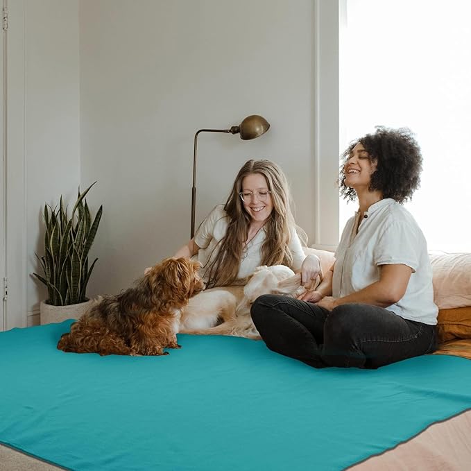 Fleece Throw Blankets Bulk Fleece Blankets Solid Wholesale Lightweight Warm Soft for Pet Bed Sofa Couch Office Wedding Gifts Travel Seasons (Assorted #8,Pack of 6-50x60 Inches)