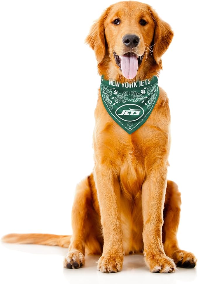 Littlearth NFL Denver Broncos Pet Bandana