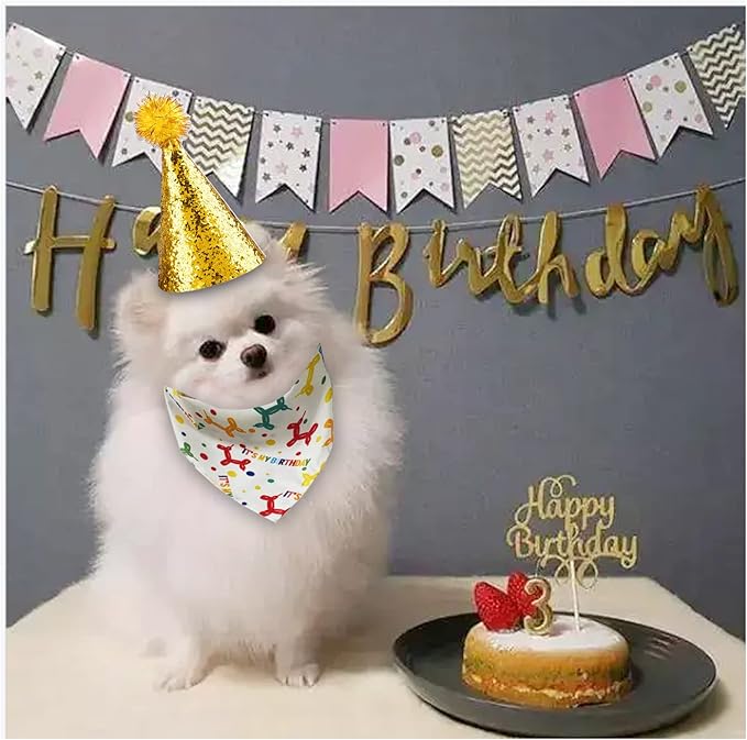 Dog Birthday Hat and Bandana for Boy/Girl Pet Party Supplies - Scarf for Small, Medium, Large Dogs (Gold)