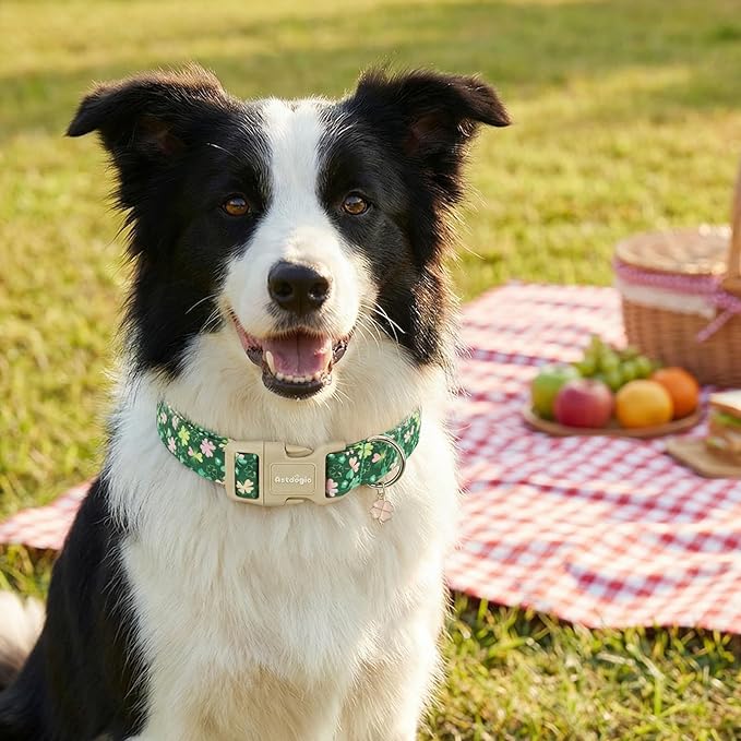 St. Patrick's Day Dog Collar,Green Clover Lucky Shamrock Puppy Collar,Adjustable Spring Cotton Collars Gifts for Small Medium Large Dogs,Dog Accessories L