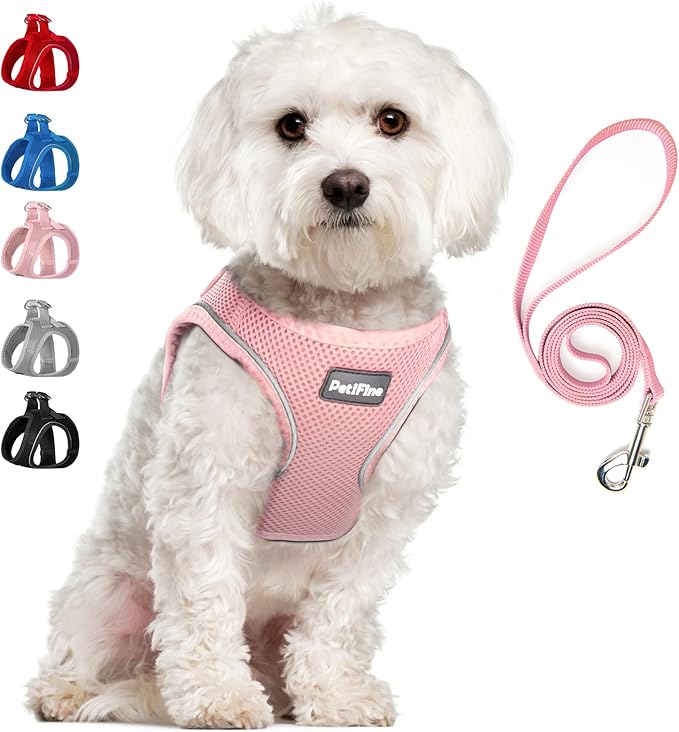 PetiFine Step in Small Dog Harness and Leash Set, Breathable All Weather Air Mesh Reflective Escape Proof, Step-in Vest Harnesses for Puppy(S, Pink)