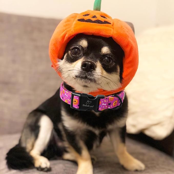 Halloween Dog Collar, Cute Pumpkin Bat Pattern Halloween Purple Puppy Collar, Soft Adjustable Cotton Dog Collars for Small Medium Large Boy&Girl Dogs XL