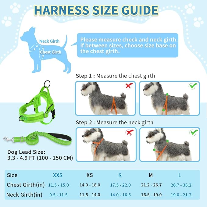 SlowTon No Pull Small Dog Harness and Leash Set, Puppy Soft Vest Harness Neck & Chest Adjustable, Reflective Lightweight Harness & Anti-Twist Pet Lead Combo for Small Medium Dogs (Green-Front Clip,XS)