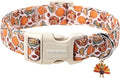 DOGWONG Fall Plaid Dog Collar,Turkey Thanksgiving Dog Collars, Adjustable Cute Pumpkin Pet Collars Design Dog Collar for Small Medium Large Dogs
