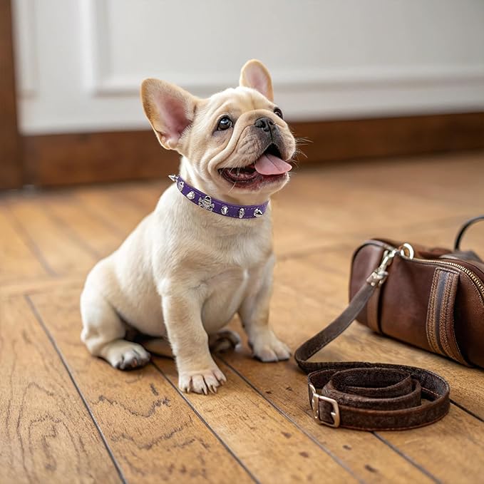 EXPAWLORER Leather Cat Collar for Girl Boy- Adjustable Pet Collar with Safety Elastic Belt,Personalized Punk Accessories Buckle Collars with Bell & Durable D-Ring,Rivet(Purple)