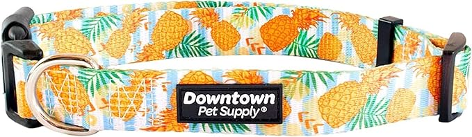 Downtown Pet Supply - Best & Fancy Dog Collar - Lightweight Adjustable with Quick Buckle & D-Ring - Hand Wash Safe - Pineapple - M - Medium