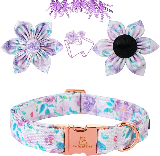 Lionheart Glory Cute Floral Pattern Adjustable Dog Collar for X-Small Dogs - Purple with Flower
