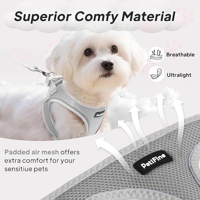 PetiFine Step in Small Dog Harness and Leash Set, Breathable All Weather Air Mesh Reflective Escape Proof, Step-in Vest Harnesses for Puppy(XS, Grey)